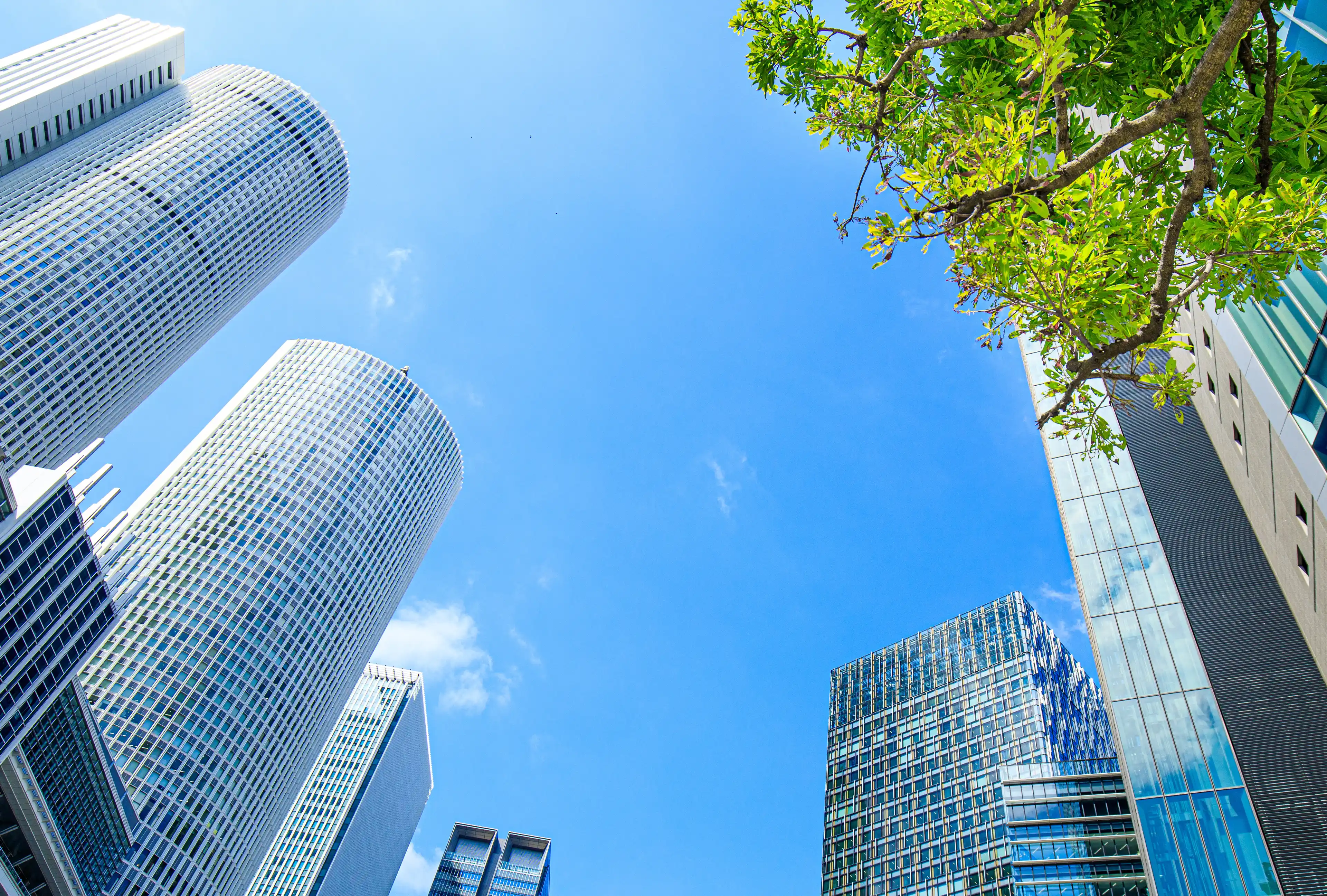 Unswerving Values here ゆるぎない価値がここに